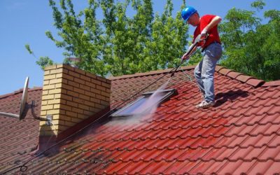 Is Roof Cleaning Necessary?