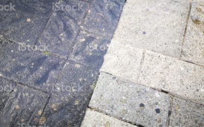 5 Changes You’ll See After a Professional Patio Cleaning