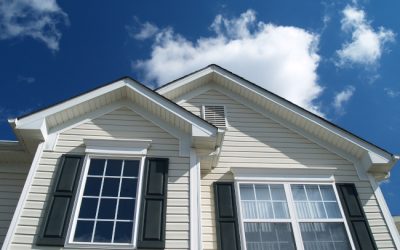 The Art and Science of Professional Window Cleaning