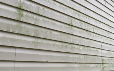 A Before-and-After Guide to Professional Siding Cleaning