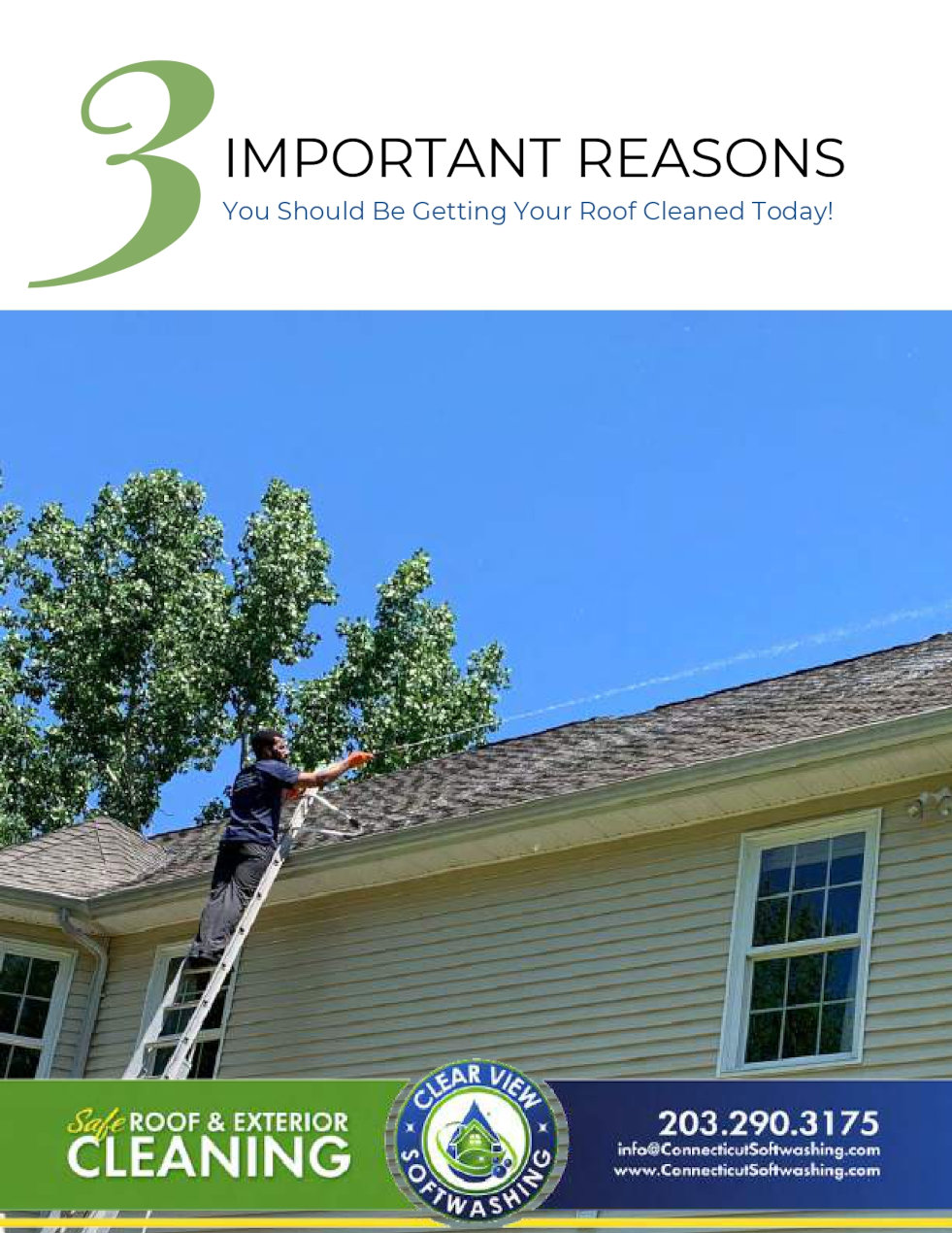 Roof Cleaning Specials