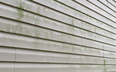 3 Signs You Need Exterior House Cleaning