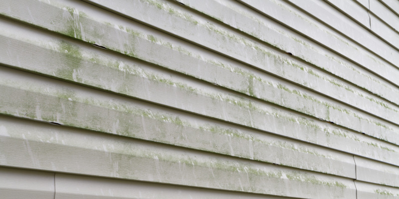 3 Signs You Need Exterior House Cleaning