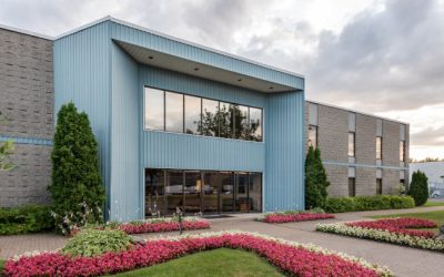 Commercial Pressure Washing: Why We Go with Soft Washing