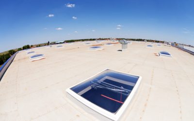 Extend Your Roof’s Lifespan with Commercial Roof Cleaning Services