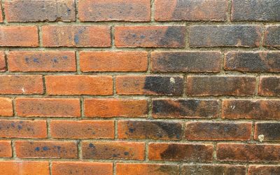 What You Need to Know About Brick Cleaning
