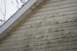 Why Exterior House Washing is a Key Part of Home Maintenance