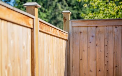 Four Signs That Fence Cleaning Is Needed