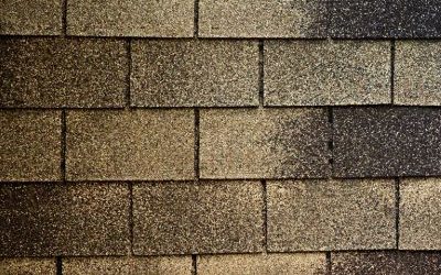 Roof Washing: Don’t Let Your Insurance Company Cancel Your Policy for a Dirty Roof