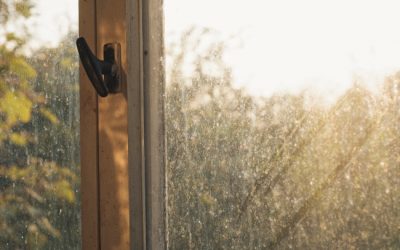 Why Soft Washing Is the Solution to Your Window Cleaning Woes