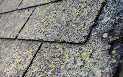 Protect Your Home With Regular Roof Cleaning