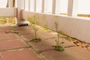 Top 4 Times to Schedule Professional Patio Cleaning Services