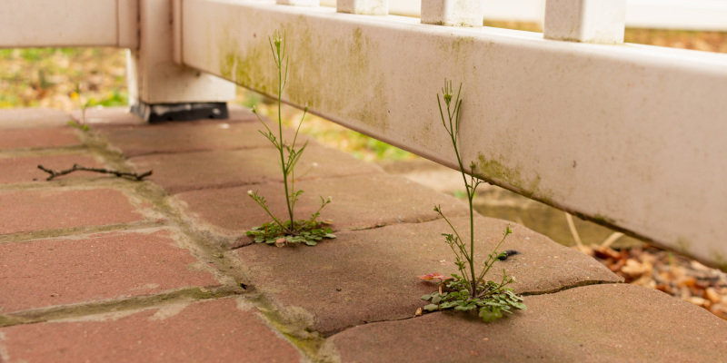 Top 4 Times to Schedule Professional Patio Cleaning Services