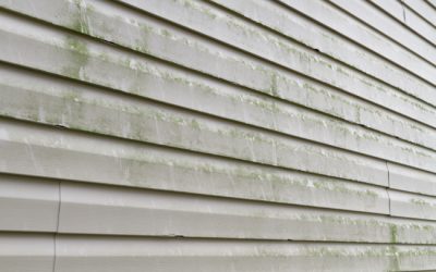 Siding Cleaning 101: The Science Behind Algae, Mold, and Mildew on Siding