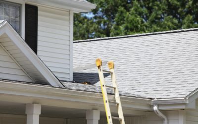 Exterior House Cleaning 101: The Importance of Ladder Safety