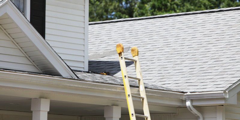Exterior House Cleaning 101: The Importance of Ladder Safety