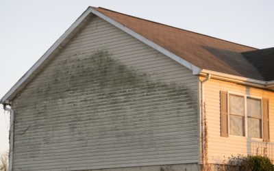 4 Signs Your Home Needs Exterior House Cleaning Services