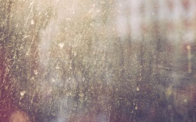 How Often Should I Schedule Window Cleaning?