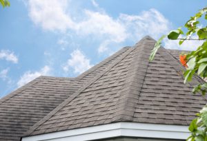 3 Benefits of Our Roof Cleaning Services