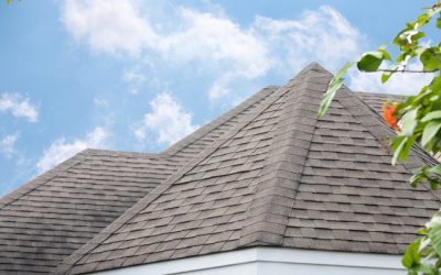 3 Benefits of Our Roof Cleaning Services