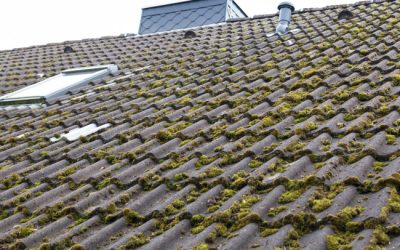 FAQs About Roof Cleaning