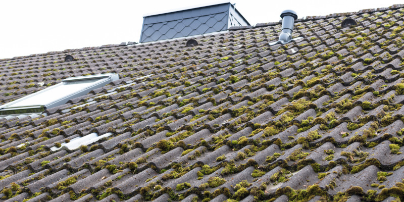 FAQs About Roof Cleaning