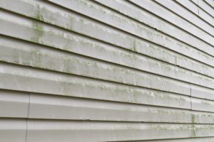 Top Indicators that You Need a Siding Cleaning Service