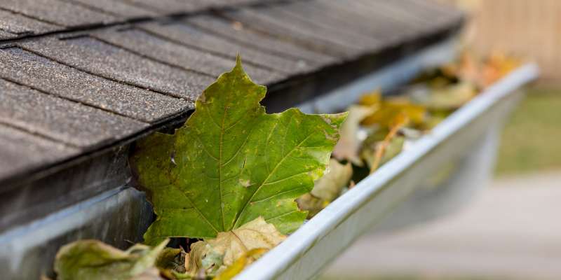 4 Reasons to Prioritize Gutter Cleaning