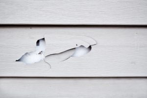 5 Common Problems with Exterior House Washing – and How Soft Washing Solves Them