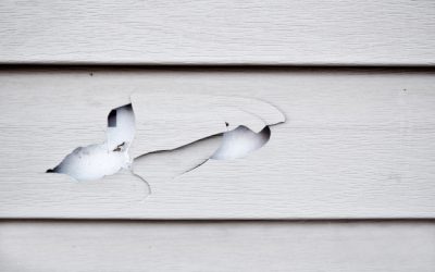 5 Common Problems with Exterior House Washing – and How Soft Washing Solves Them