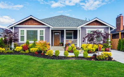 Why Soft Washing Is Safe Despite Its Use of Bleach