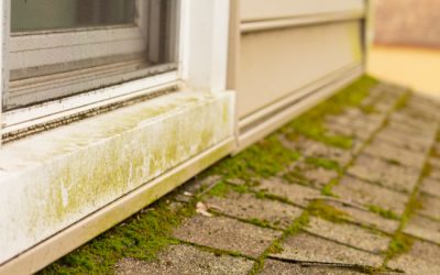 3 Reasons Why Pressure Washing and Roof Washing Aren’t a Good Combination
