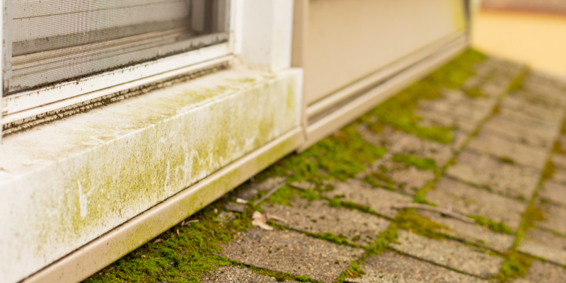 3 Reasons Why Pressure Washing and Roof Washing Aren’t a Good Combination