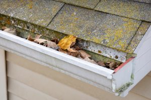 How We Make Roof Cleaning Safer for Your Plants