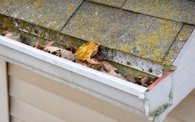 How We Make Roof Cleaning Safer for Your Plants
