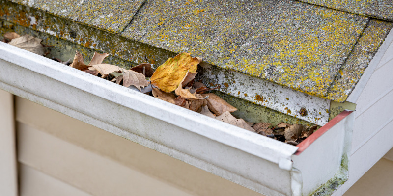 How We Make Roof Cleaning Safer for Your Plants