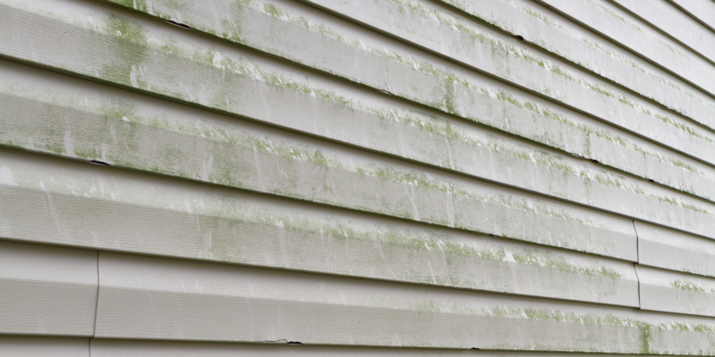 3 Benefits of Siding Cleaning