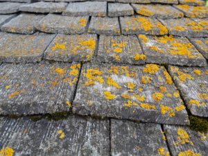 Roof Cleaning 101: How to Clean Your Roof