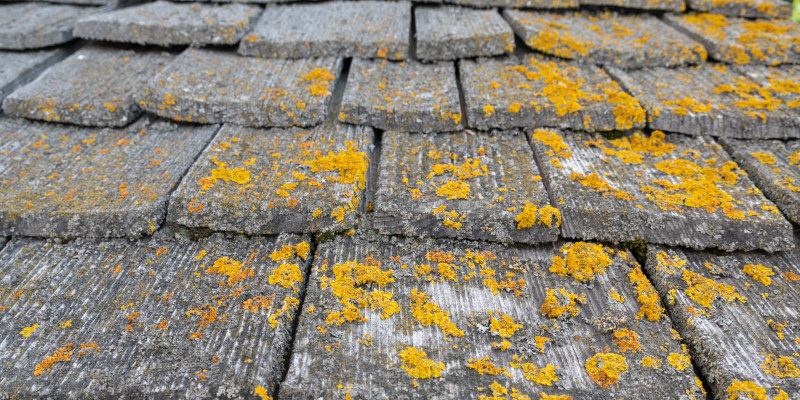 Roof Cleaning 101: How to Clean Your Roof